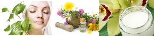 Natural Skin Care – Know Which Natural Ingredients Can Help Protect Your Skin